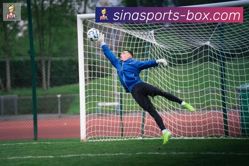 新浪体育服务体系