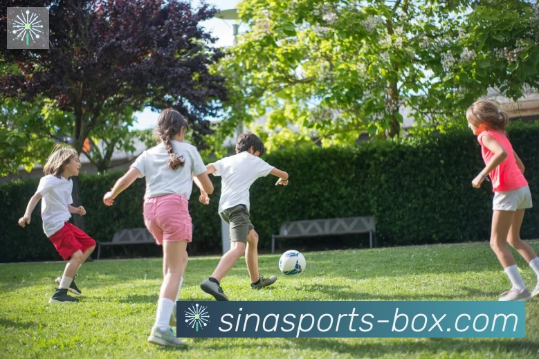 多媒体互动体验