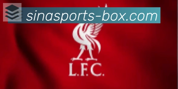 新浪体育合作伙伴