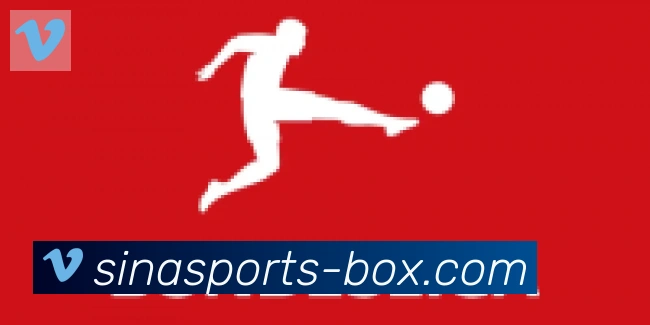 新浪体育合作伙伴